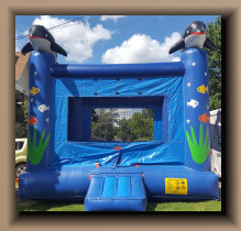 Seaward/dolphin bouncer